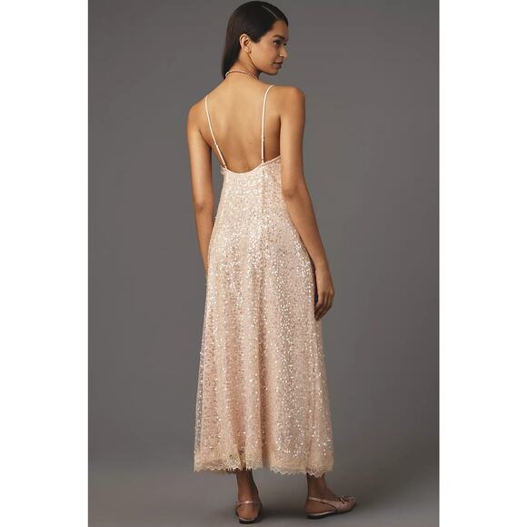 NWT Anthropologie En Elly Sleeveless V-Neck Lace Sequin Slip Midi Dress Small - Picture 4 of 4